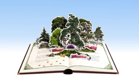 Further details announced for the cultural celebrations in Ashdown Forest for Winnie-The-Pooh centenary